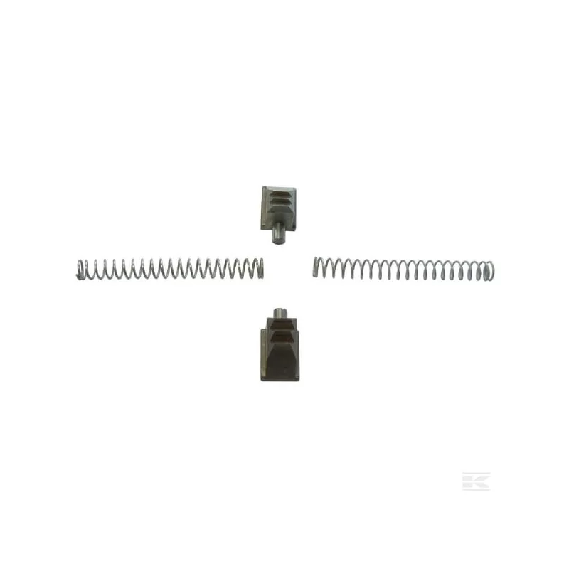 Kit 2 cliquets+ressorts speed